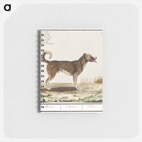 アートメモ帳-Dog - アンセルムス ボエティウス デ ブート Memo.