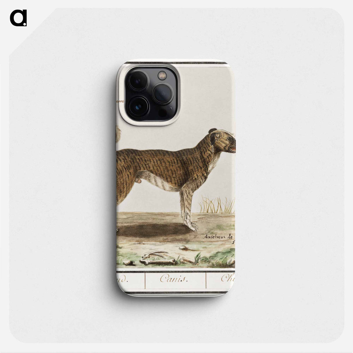 Dog - アンセルムス ボエティウス デ ブート Phone Case.