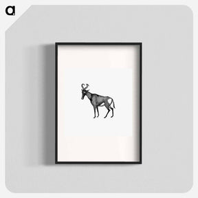 アートポスター-Hartebeest from Adventures in the Far Interior of South Africa
 - 大英図書館 Poster.