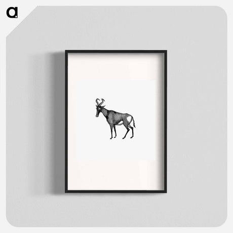 アートポスター-Hartebeest from Adventures in the Far Interior of South Africa
 - 大英図書館 Poster.