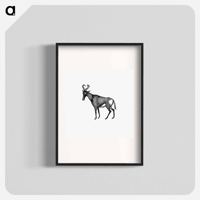 アートポスター-Hartebeest from Adventures in the Far Interior of South Africa
 - 大英図書館 Poster.