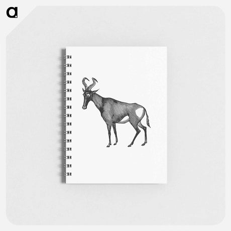 アートメモ帳-Hartebeest from Adventures in the Far Interior of South Africa
 - 大英図書館 Memo.