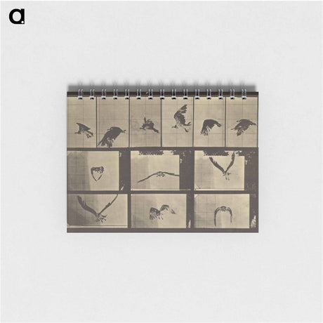 アートメモ帳-Animal Locomotion
 - エドワード マイブリッジ Memo.