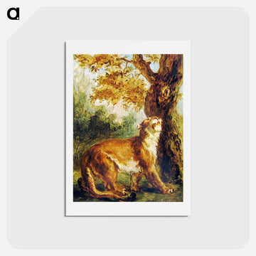 Puma (Lioness watching prey) - ウジェーヌ ドラクロワ Postcard.