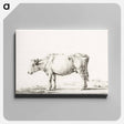 アートパネル-Standing cow - ジャン ベルナール Canvas.