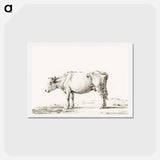 アートポストカード-Standing cow - ジャン ベルナール Postcard.
