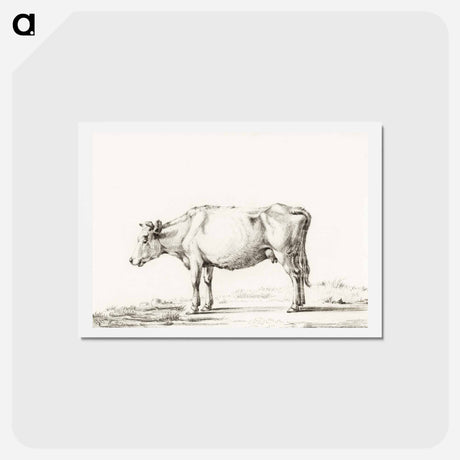 アートポストカード-Standing cow - ジャン ベルナール Postcard.