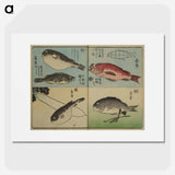 アートポスター-Picture Book for the Practice of Drawing Fish
 - 歌川 広重 Poster.
