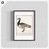 Barn Goose - アンセルムス ボエティウス デ ブート Poster.