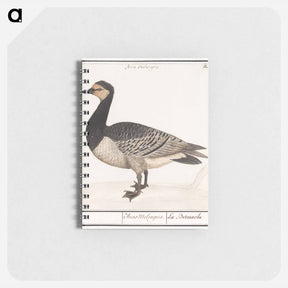 アートメモ帳-Barn Goose - アンセルムス ボエティウス デ ブート Memo.