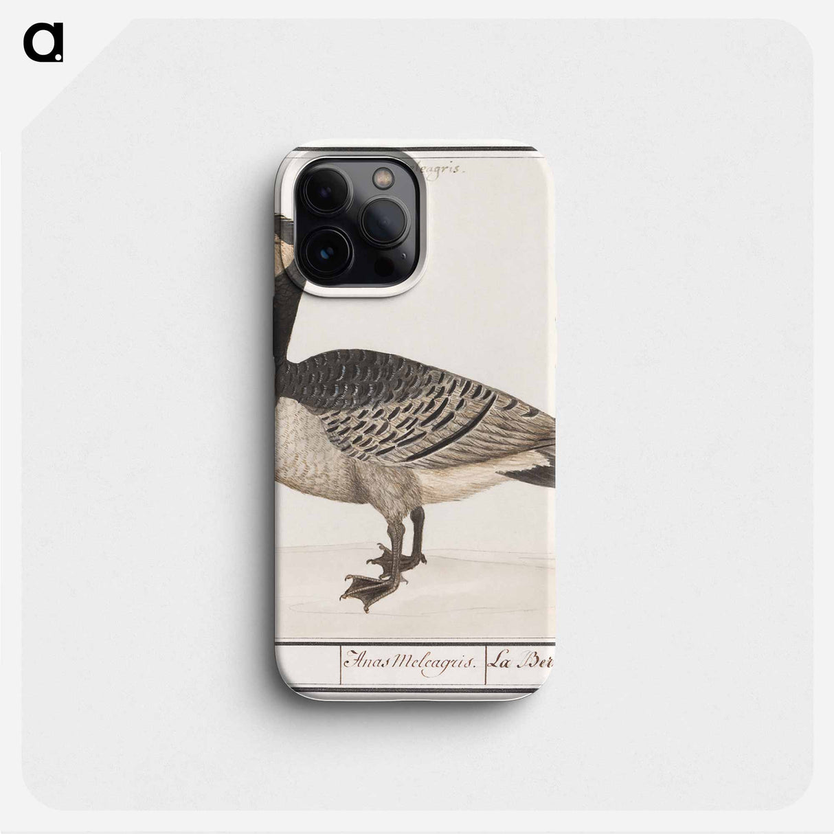 Barn Goose - アンセルムス ボエティウス デ ブート Phone Case.