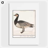 Barn Goose - アンセルムス ボエティウス デ ブート Poster.