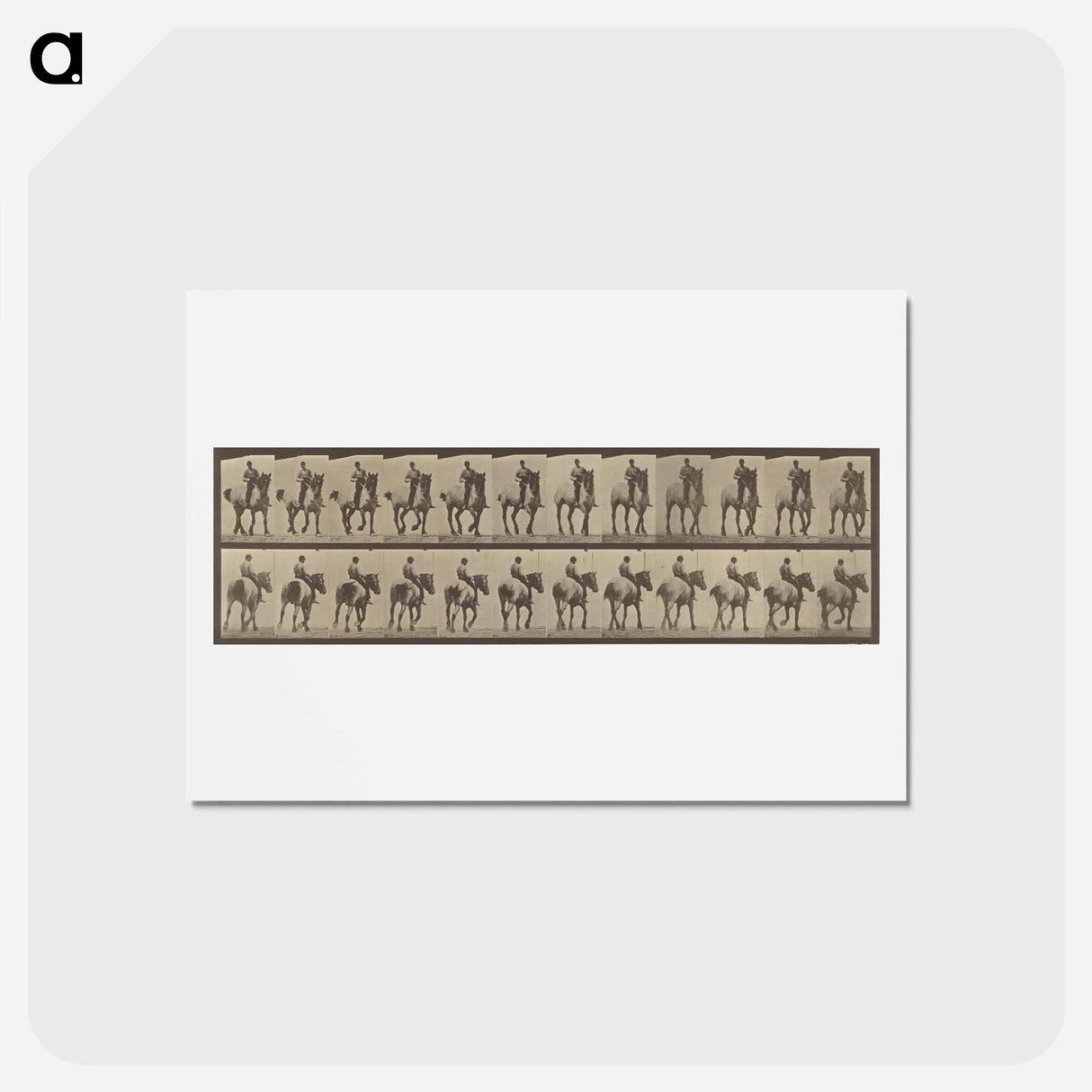 アートポストカード-Animal Locomotion
 - エドワード マイブリッジ Postcard.