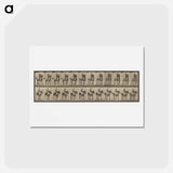 アートポストカード-Animal Locomotion
 - エドワード マイブリッジ Postcard.