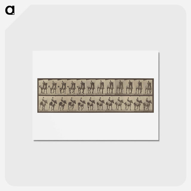 アートポストカード-Animal Locomotion
 - エドワード マイブリッジ Postcard.