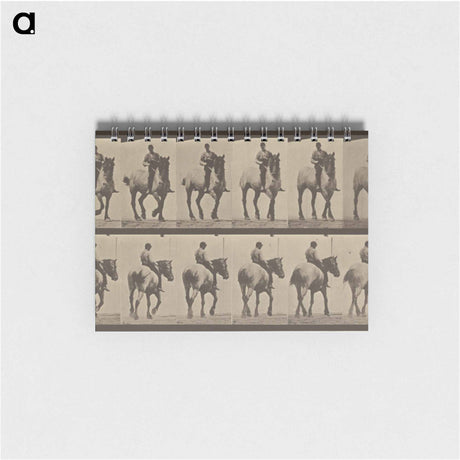 アートメモ帳-Animal Locomotion
 - エドワード マイブリッジ Memo.