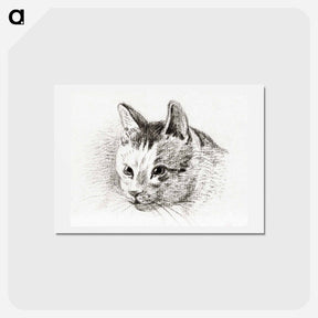 アートポストカード-Sketch of a cat - ジャン ベルナール Postcard.
