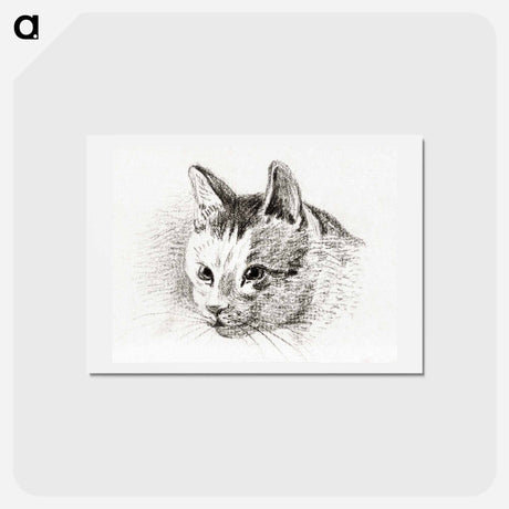 アートポストカード-Sketch of a cat - ジャン ベルナール Postcard.