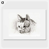 Sketch of a cat - ジャン ベルナール Poster.