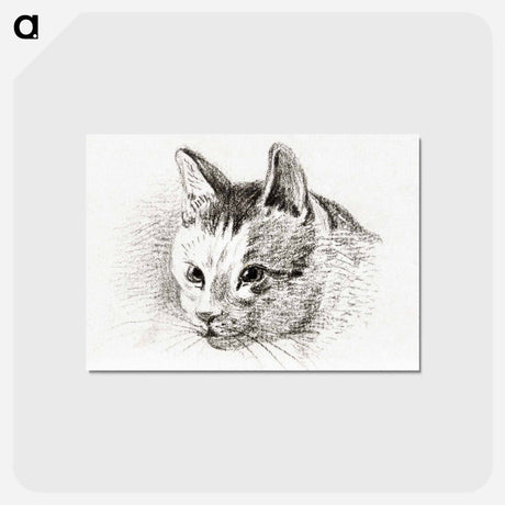 アートポストカード-Sketch of a cat - ジャン ベルナール Postcard.