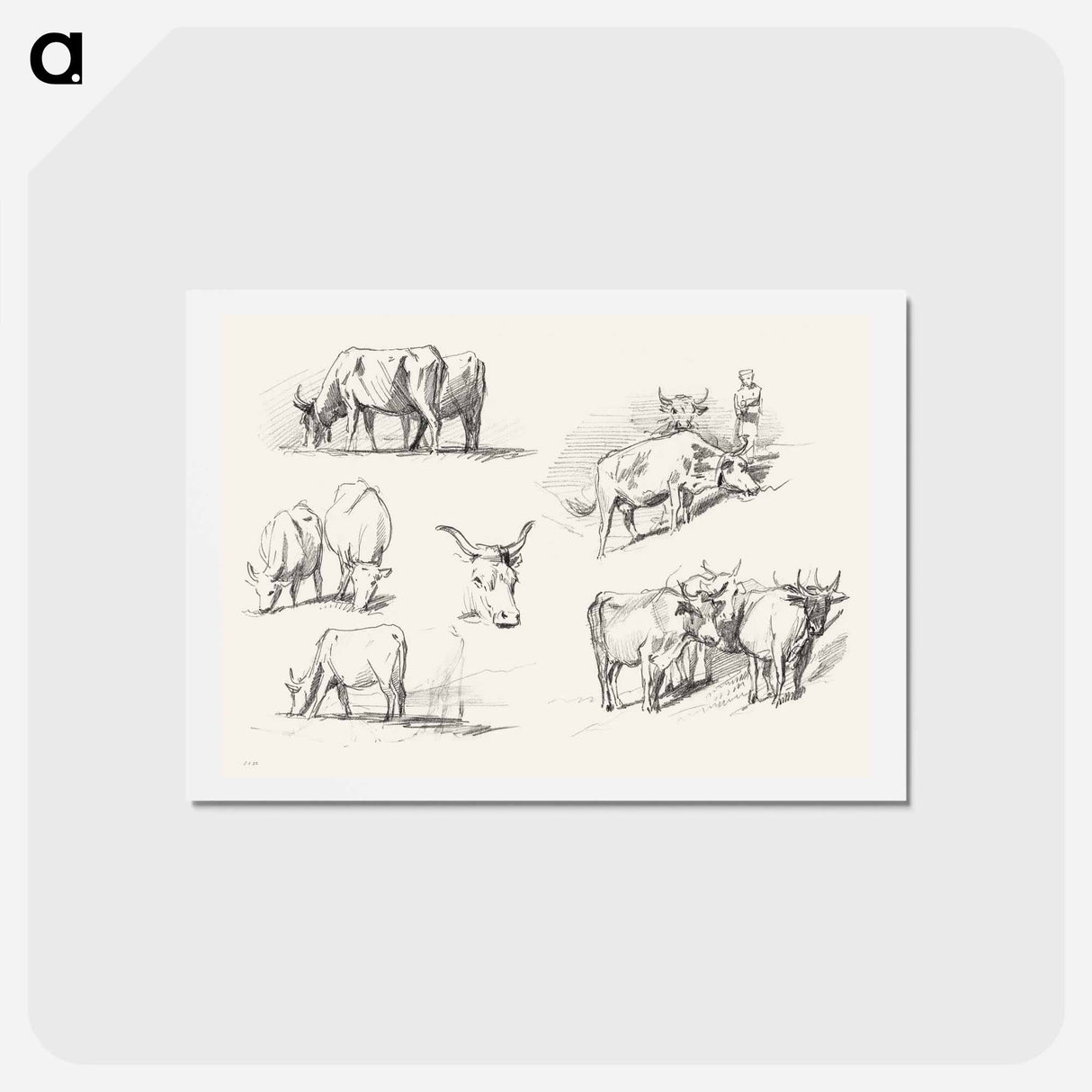 アートポストカード-Studies of Cattle - ジョン シンガー サージェント Postcard.