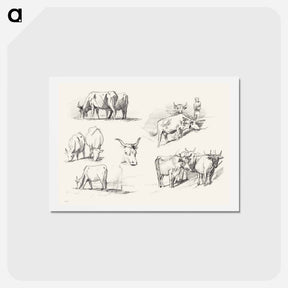 アートポストカード-Studies of Cattle - ジョン シンガー サージェント Postcard.