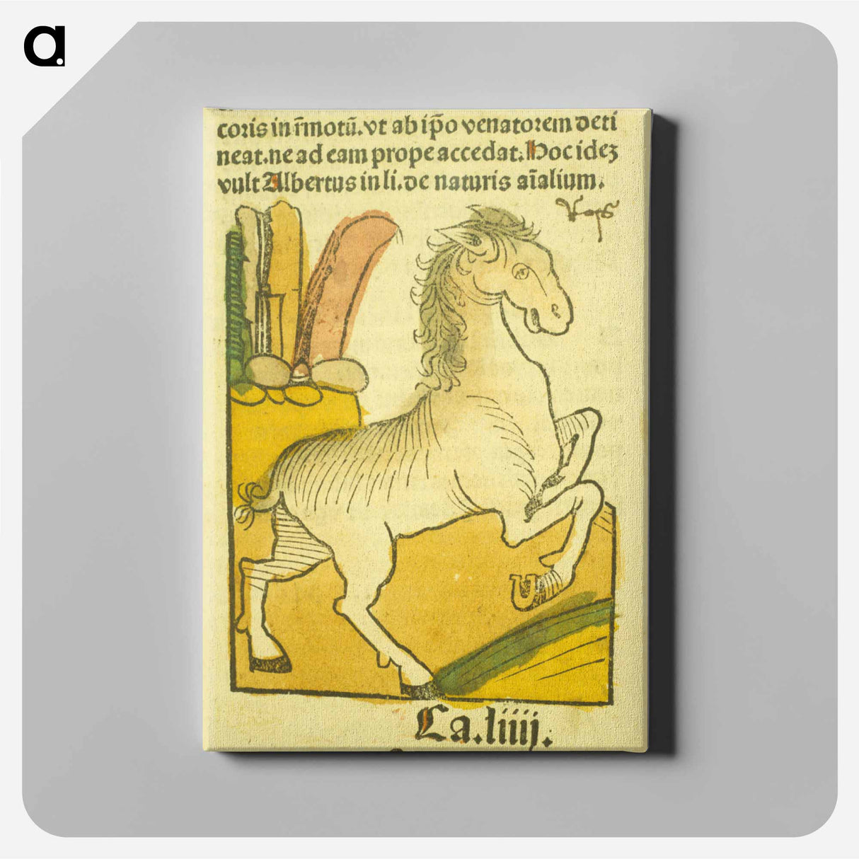 アートパネル-Equus
 - 国立医学図書館 Canvas.