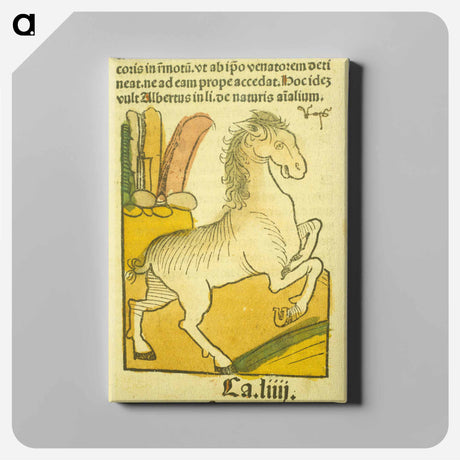 アートパネル-Equus
 - 国立医学図書館 Canvas.