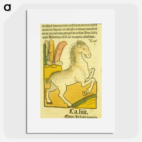 アートポスター-Equus
 - 国立医学図書館 Poster.