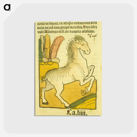 アートポストカード-Equus
 - 国立医学図書館 Postcard.