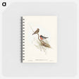 アートメモ帳-Red-capped Robin
 - オーストラリアの鳥 Memo.