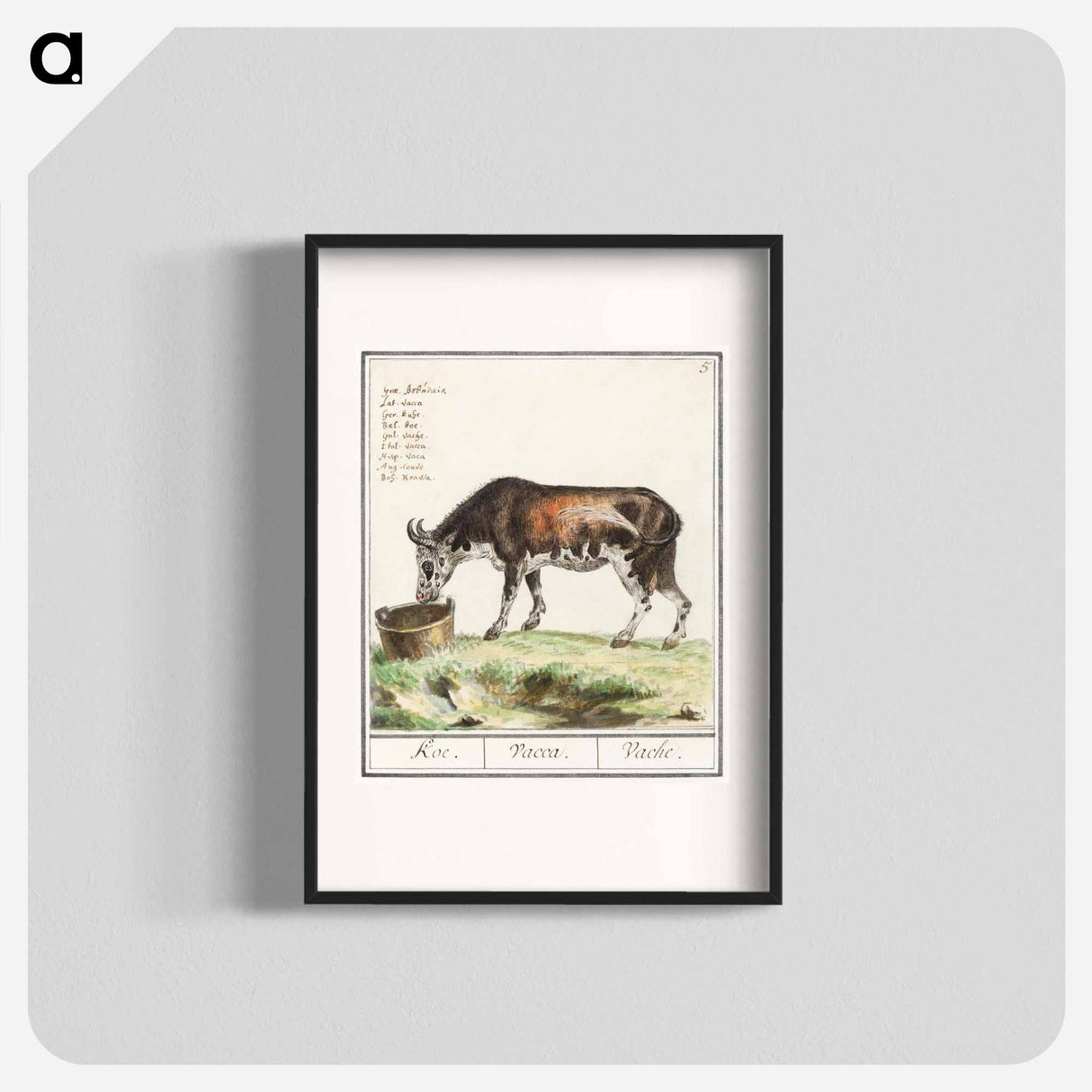 Cow - アンセルムス ボエティウス デ ブート Poster.
