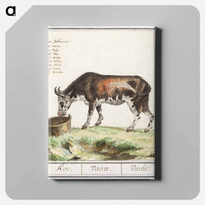 アートパネル-Cow - アンセルムス ボエティウス デ ブート Canvas.