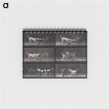 アートメモ帳-Dogs Fighting Over Cloth
 - エドワード マイブリッジ Memo.