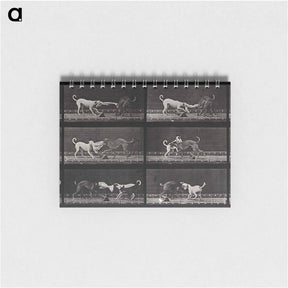 アートメモ帳-Dogs Fighting Over Cloth
 - エドワード マイブリッジ Memo.
