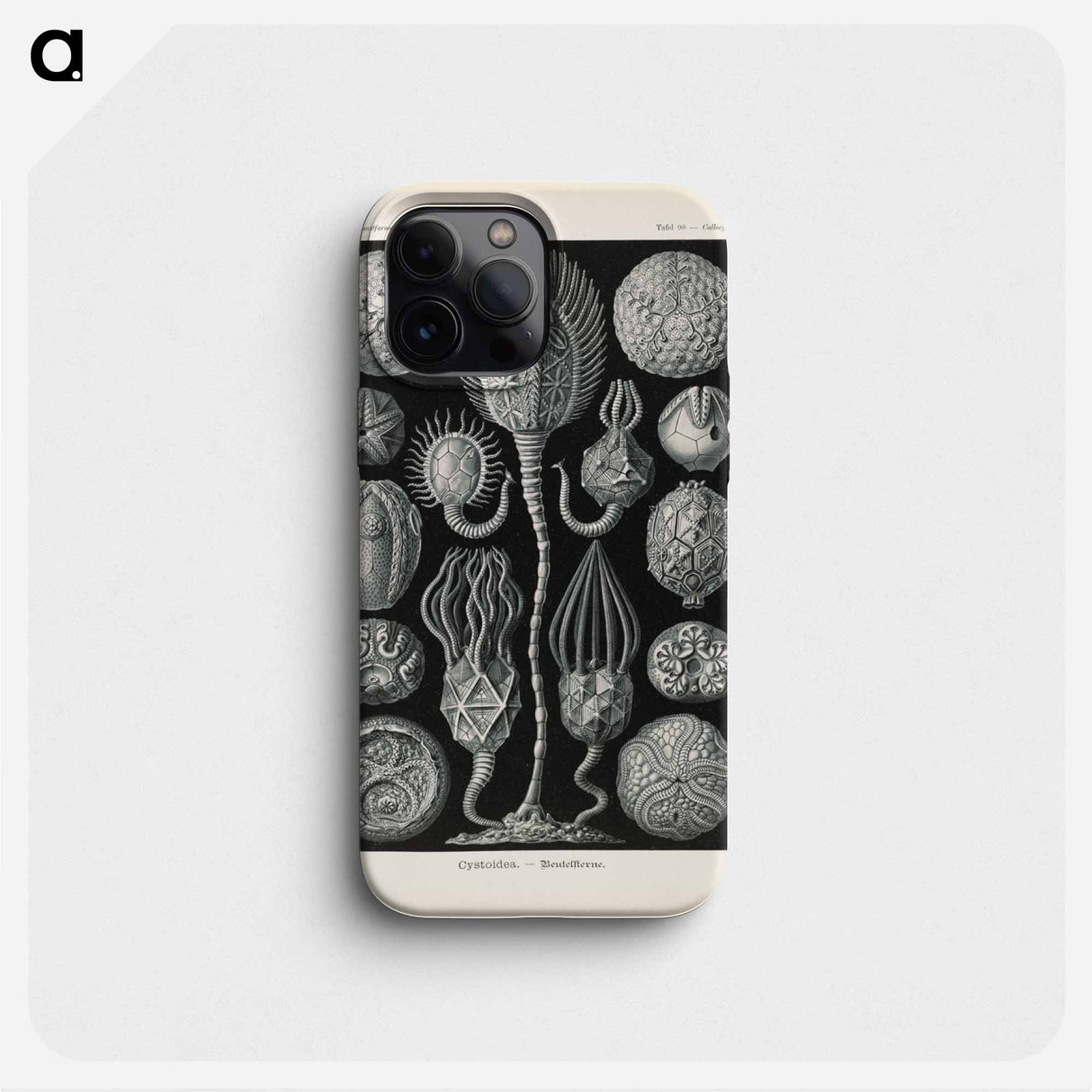 Marine life illustration - エルンスト ヘッケル Phone Case.