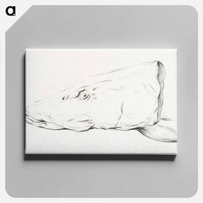 アートパネル-Head of a pike - ジャン ベルナール Canvas.