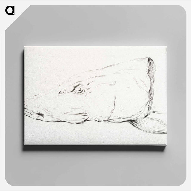 アートパネル-Head of a pike - ジャン ベルナール Canvas.