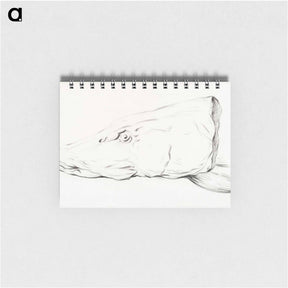 アートメモ帳-Head of a pike - ジャン ベルナール Memo.