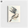 アートメモ帳-Black-Winged Hawk from Birds of America
 - アメリカの鳥たち Memo.