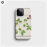 Clematis - アンセルムス ボエティウス デ ブート Phone Case.