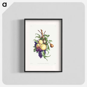 アートポスター-Collection des fleurs et des fruits
 - クリーブランド美術館 Poster.