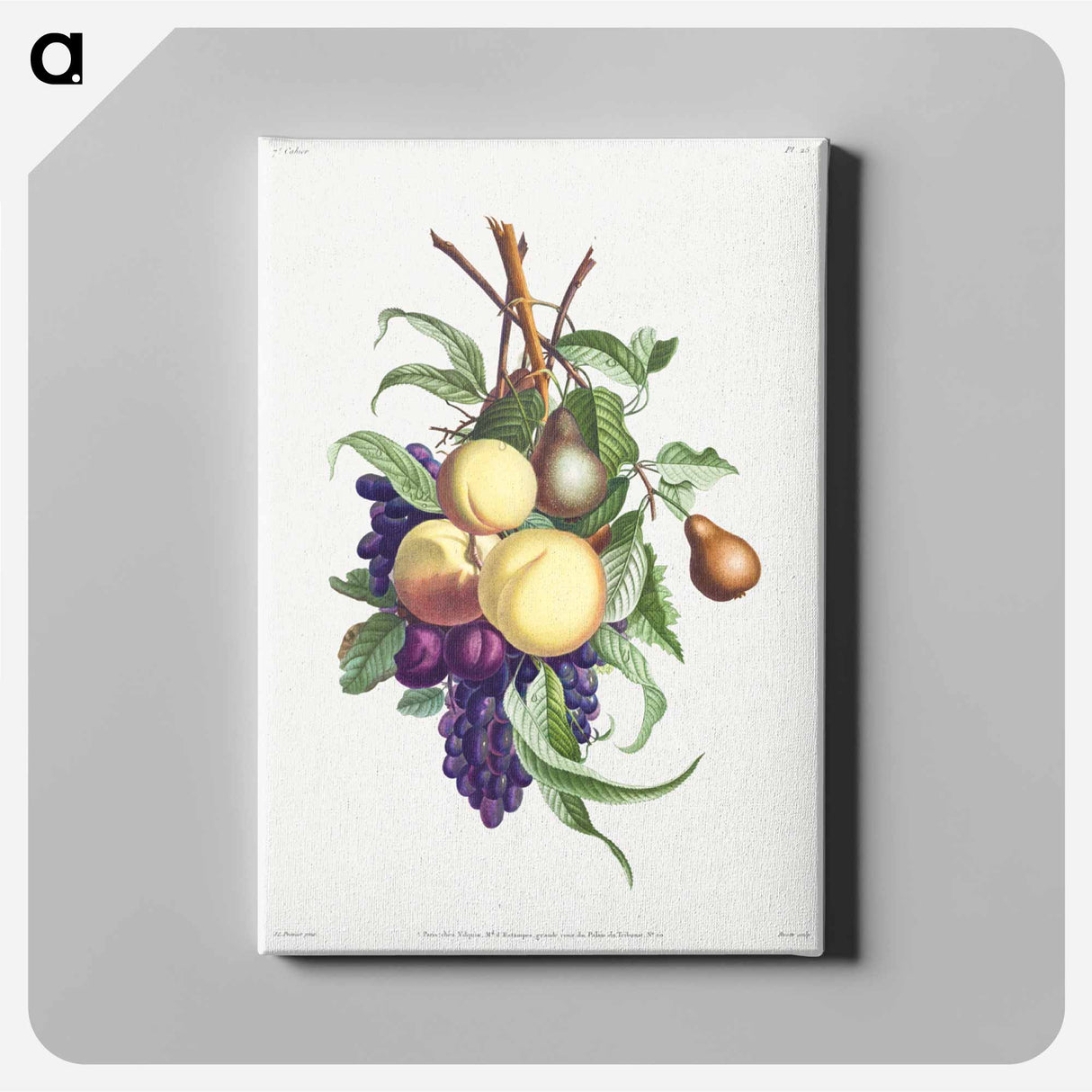 アートパネル-Collection des fleurs et des fruits
 - クリーブランド美術館 Canvas.