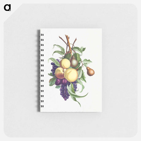 アートメモ帳-Collection des fleurs et des fruits
 - クリーブランド美術館 Memo.