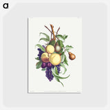 アートポストカード-Collection des fleurs et des fruits
 - クリーブランド美術館 Postcard.