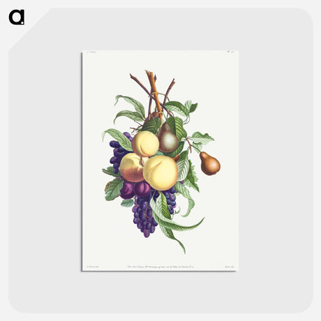 アートポストカード-Collection des fleurs et des fruits
 - クリーブランド美術館 Postcard.