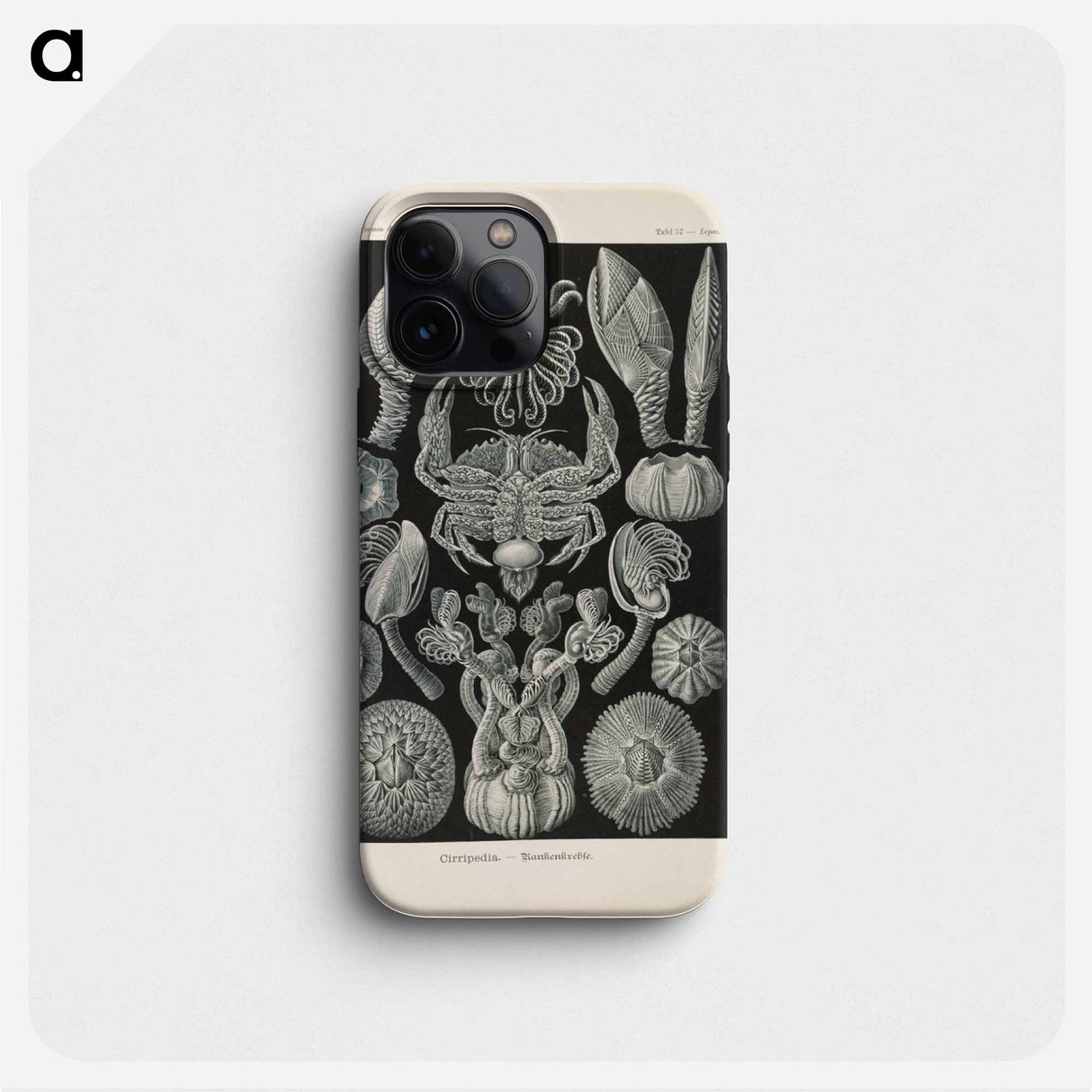 Marine life illustration - エルンスト ヘッケル Phone Case.