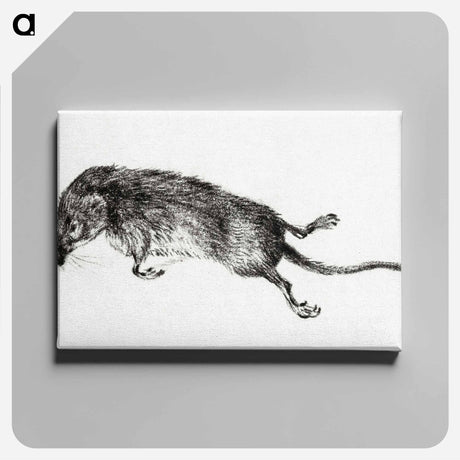 アートパネル-Death mouse - ジャン ベルナール Canvas.