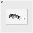 アートポストカード-Death mouse - ジャン ベルナール Postcard.