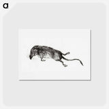 アートポストカード-Death mouse - ジャン ベルナール Postcard.